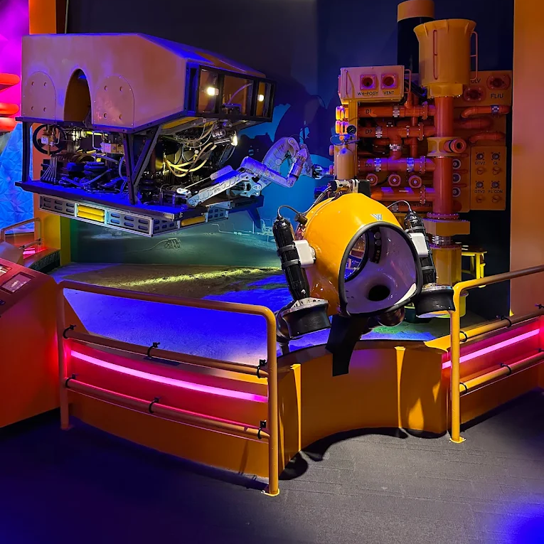 Houston Museum of Natural Science Kids Party- Houston