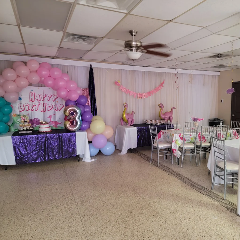 VIP Party Hall Kids Party - Houston