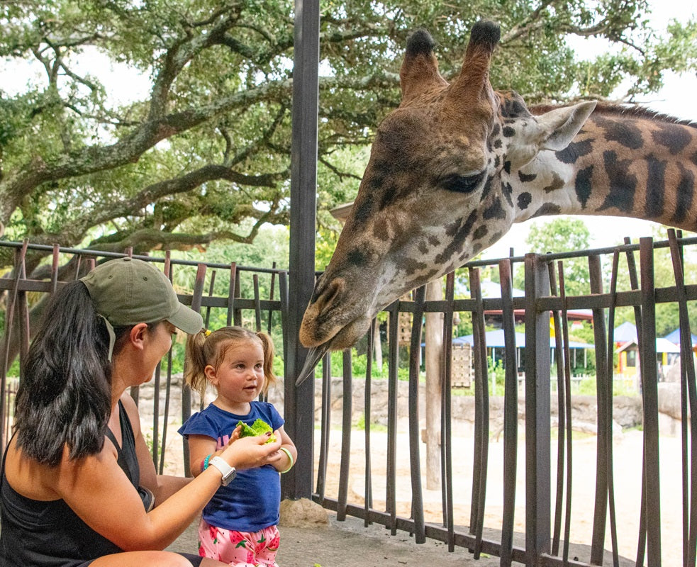 John P. McGovern Children&