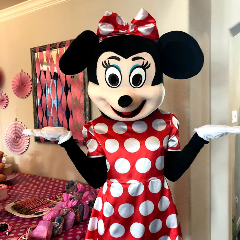 Princess Parties - Houston